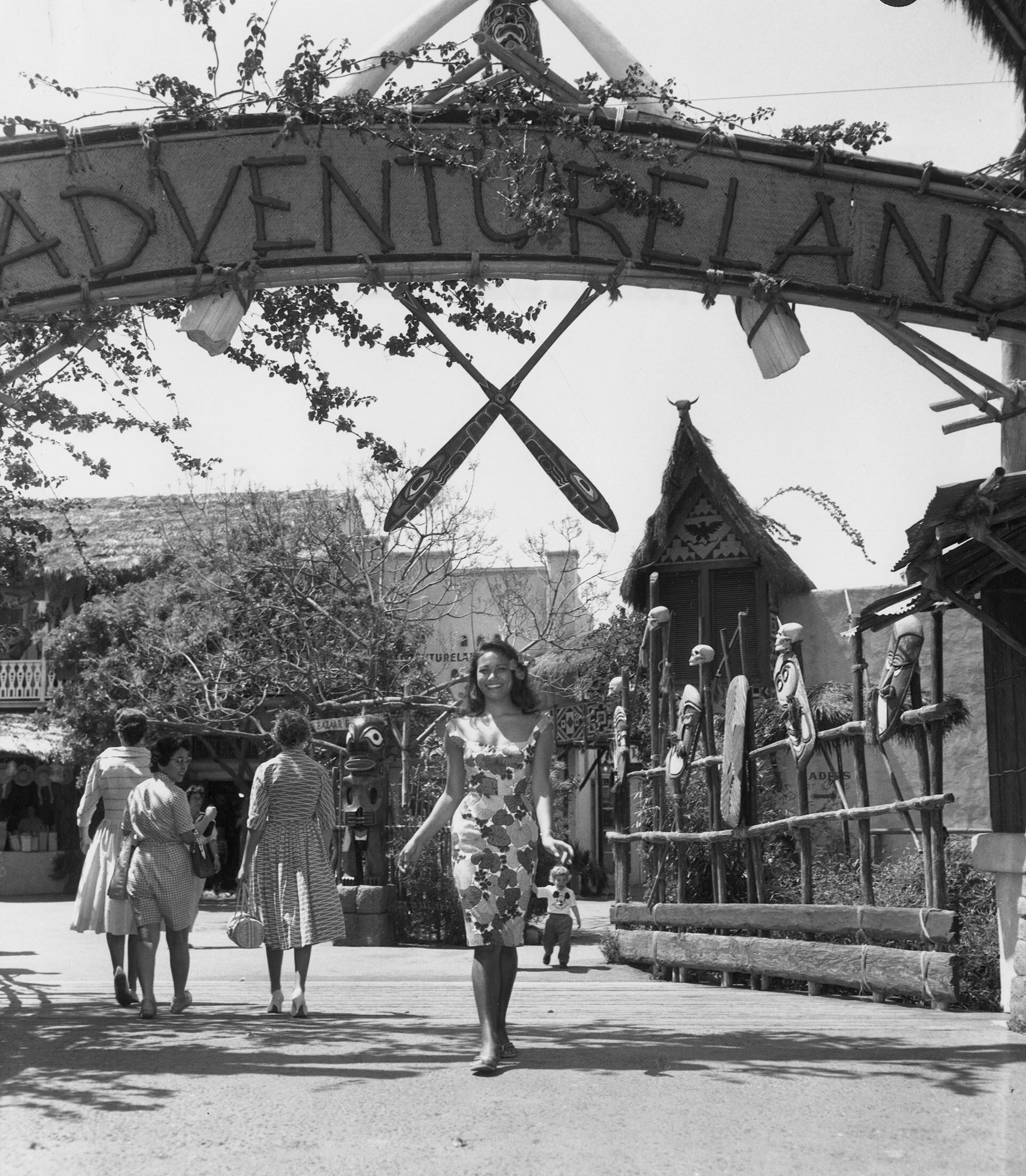 A trip to disneyland essay