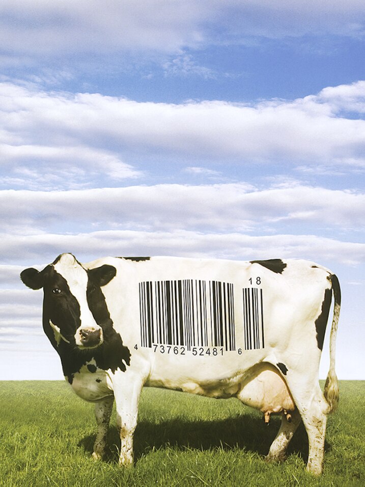 Food Inc Food Inc