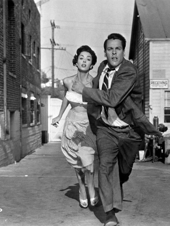 This is Widescreen Invasion of the Body Snatchers