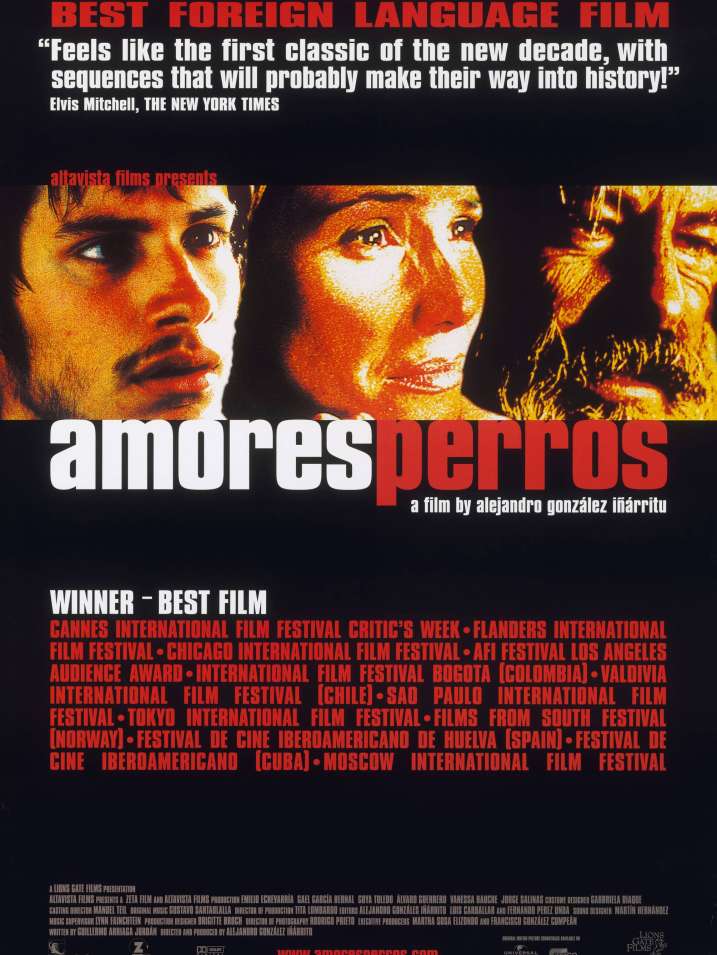 AMORES PERROS AMORES PERROS