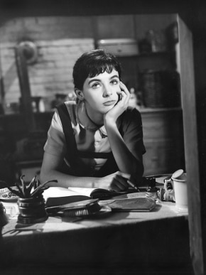 Millie perkins 2019