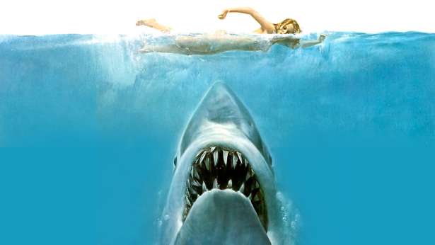 Image result for jaws