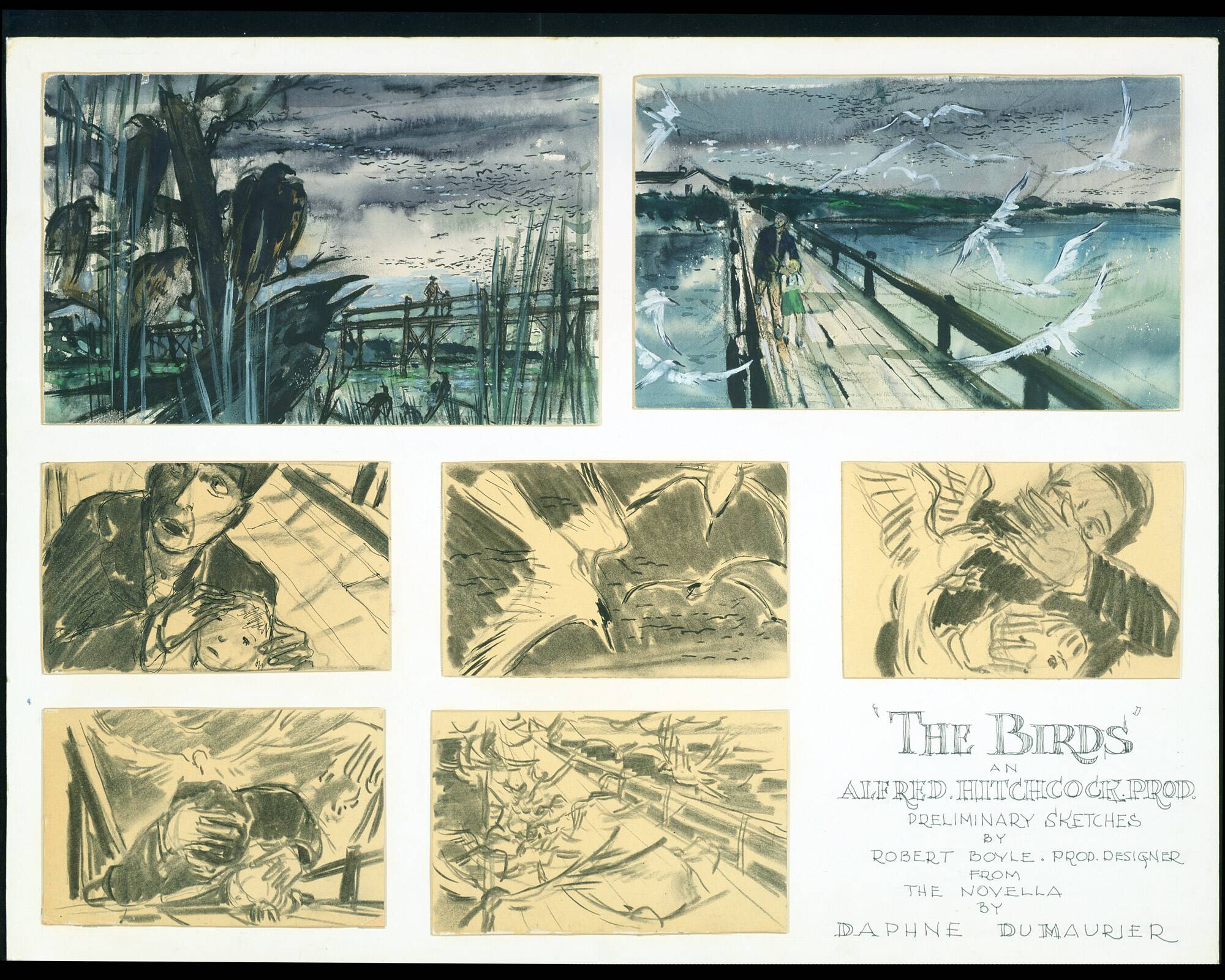 MHL Collections - Graphic Arts Collection - Robert Boyle Papers